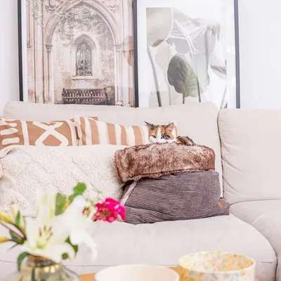 Pet and Co Chien Sac de lit Snuggle