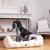 Pet and Co Chien Fleurs Lit Kingston Pet and Co Chien Fleurs Lit Kingston