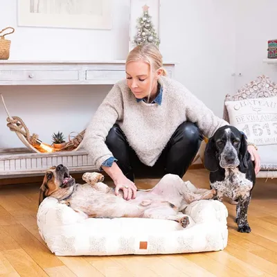 Pet and Co Chien Fleurs Lit Kingston Pet and Co Chien Fleurs Lit Kingston