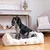 Pet and Co Chien Fleurs Lit Kingston Pet and Co Chien Fleurs Lit Kingston