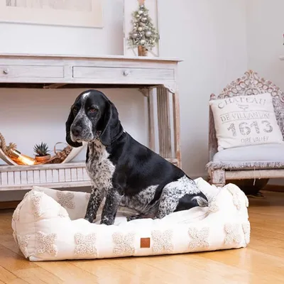 Pet and Co Chien Fleurs Lit Kingston Pet and Co Chien Fleurs Lit Kingston