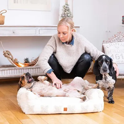 Pet and Co Chien Fleurs Lit Kingston Pet and Co Chien Fleurs Lit Kingston