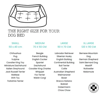 Pet and Co Chien Leinen Lit Ronny