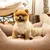 Pet and Co Chien Lit Kingston Basic Pet and Co Chien Lit Kingston Basic