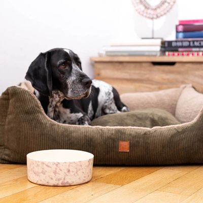 Pet and Co Chien Cordon Double Face Lit Kingston