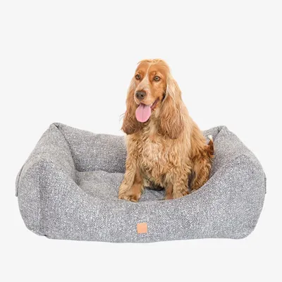 Pet and Co Chien Lit Kingston Boucle Pet and Co Chien Lit Kingston Boucle
