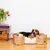 Pet and Co Chien Lit Bongo Pet and Co Chien Lit Bongo