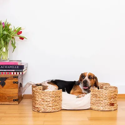 Pet and Co Chien Lit Bongo Pet and Co Chien Lit Bongo