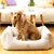 Pet and Co Chien Lit Kingston Basic Pet and Co Chien Lit Kingston Basic
