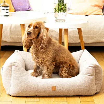 Pet and Co Chien Lit Kingston Basic Pet and Co Chien Lit Kingston Basic