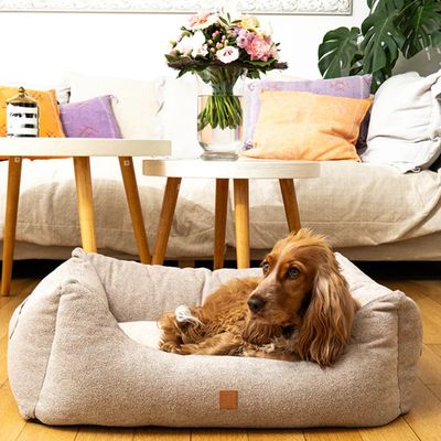 Pet and Co Chien Lit Kingston Basic