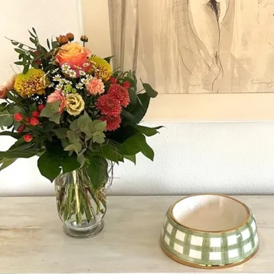 Pet and Co Chien Bol d'alimentation Goldy