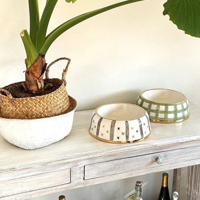 Pet and Co Chien Bol d'alimentation Yummy