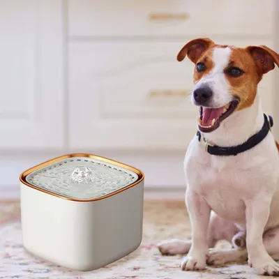 MCBOSON Cat Fountain Fountain Automatique