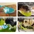MCBOSON Gourde d'eau portable pour chien