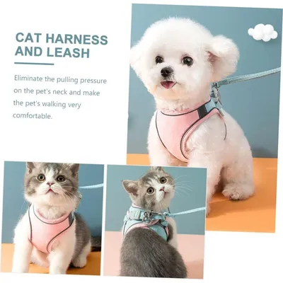 MCBOSON Laisse et harnais pour chat MCBOSON Laisse et harnais pour chat