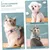 MCBOSON Laisse et harnais pour chat MCBOSON Laisse et harnais pour chat