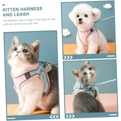 MCBOSON Laisse et harnais pour chat MCBOSON Laisse et harnais pour chat