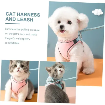 MCBOSON Laisse et harnais pour chat
