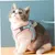 MCBOSON Laisse et harnais pour chat MCBOSON Laisse et harnais pour chat