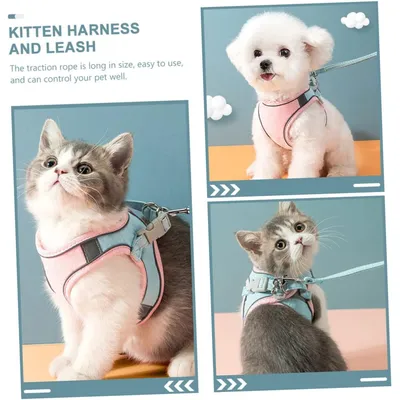 MCBOSON Laisse et harnais pour chat