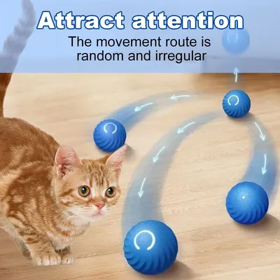 MCBOSON  Jouet Circuit de jeu avec balle pour chat