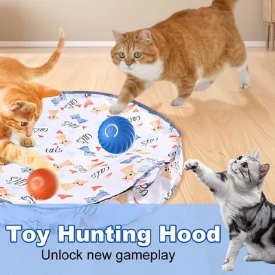 MCBOSON  Jouet Circuit de jeu avec balle pour chat