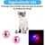 MCBOSON Jouet pour chat à boule lumineuse MCBOSON Jouet pour chat à boule lumineuse