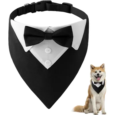 MCBOSON  Bandana Formel pour Chien