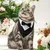 MCBOSON  Bandana formel pour chien