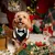 MCBOSON  Bandana formel pour chien