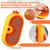 MCBOSON Brosse autonettoyante à vapeur pour chat et chien MCBOSON Brosse autonettoyante à vapeur pour chat et chien