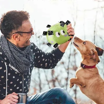 MCBOSON Balle jouet vocale pour chien MCBOSON Balle jouet vocale pour chien