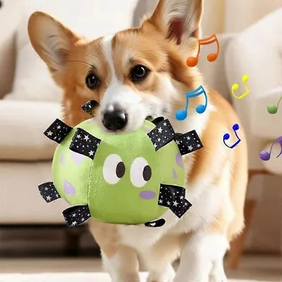 MCBOSON Balle jouet vocale pour chien MCBOSON Balle jouet vocale pour chien