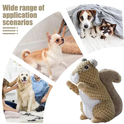 Jouet en peluche en forme d'écureuil pour chien