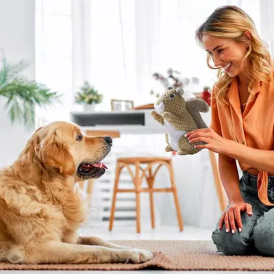 Jouet en peluche en forme d'écureuil pour chien