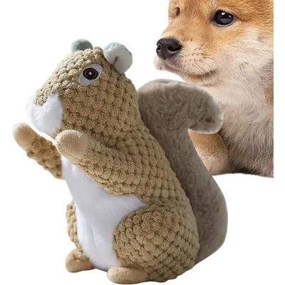 Jouet en peluche en forme d'écureuil pour chien