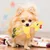 MCBOSON Paquet de 2 Jouets en Peluche Corde Tressée pour Chien MCBOSON Paquet de 2 Jouets en Peluche Corde Tressée pour Chien