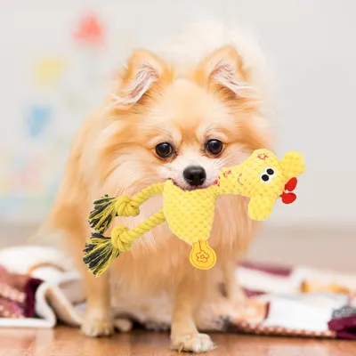 MCBOSON Paquet de 2 Jouets en Peluche Corde Tressée pour Chien