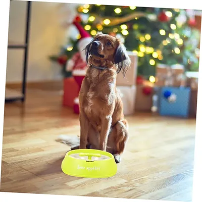 MCBOSON Bol de Nourriture Lente pour Animaux