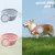 MCBOSON 2 Pièces Silicone Gamelle Pliable pour Chien MCBOSON 2 Pièces Silicone Gamelle Pliable pour Chien