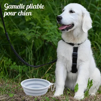 MCBOSON Comedero plegable de silicona de 2 piezas para perros