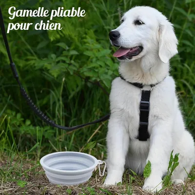 MCBOSON 2 Pièces Silicone Gamelle Pliable pour Chien MCBOSON 2 Pièces Silicone Gamelle Pliable pour Chien