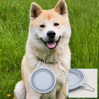 MCBOSON 2 Pièces Silicone Gamelle Pliable pour Chien MCBOSON 2 Pièces Silicone Gamelle Pliable pour Chien