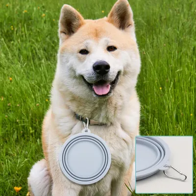 MCBOSON 2 Pièces Silicone Gamelle Pliable pour Chien