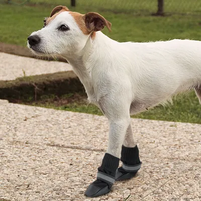 Ferplast Chaussons de protection pour chiens PROTECTIVE Ferplast Chaussons de protection pour chiens PROTECTIVE