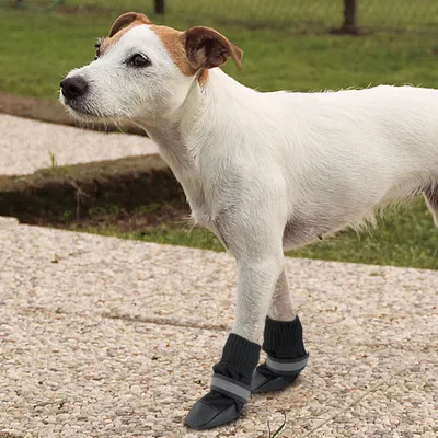 Ferplast Chaussons de protection pour chiens PROTECTIVE Ferplast Chaussons de protection pour chiens PROTECTIVE