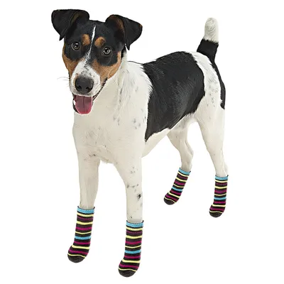 Ferplast Chaussettes pour chiens antidérapantes - 3 tailles PET SOCKS