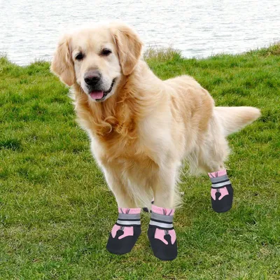 MCBOSON Hundeschuhe zum Schutz