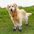 MCBOSON  Chaussures de protection pour chiens